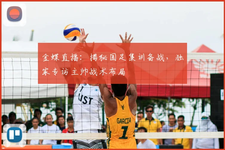 金蝶直播：揭秘国足集训备战，独家专访主帅战术布局