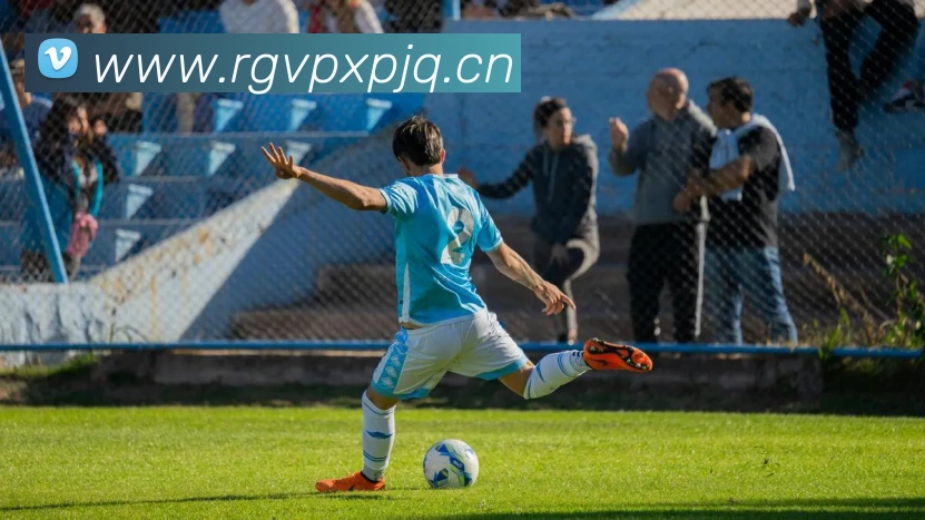 久游会j9平台生态图